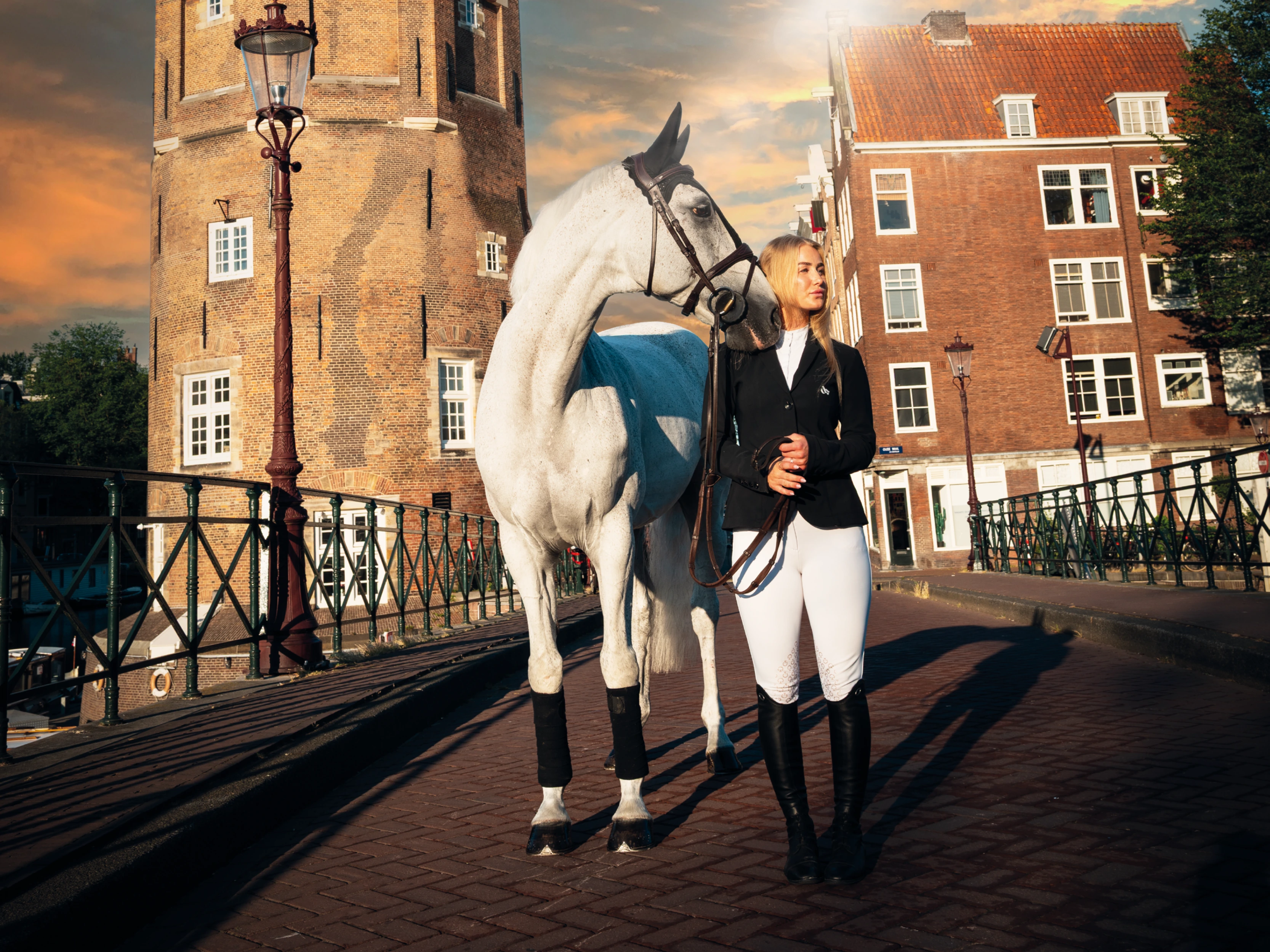 Veterinary Sport Horse Congress